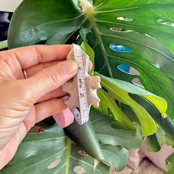 Turtle figurine - Picture 3 of 6